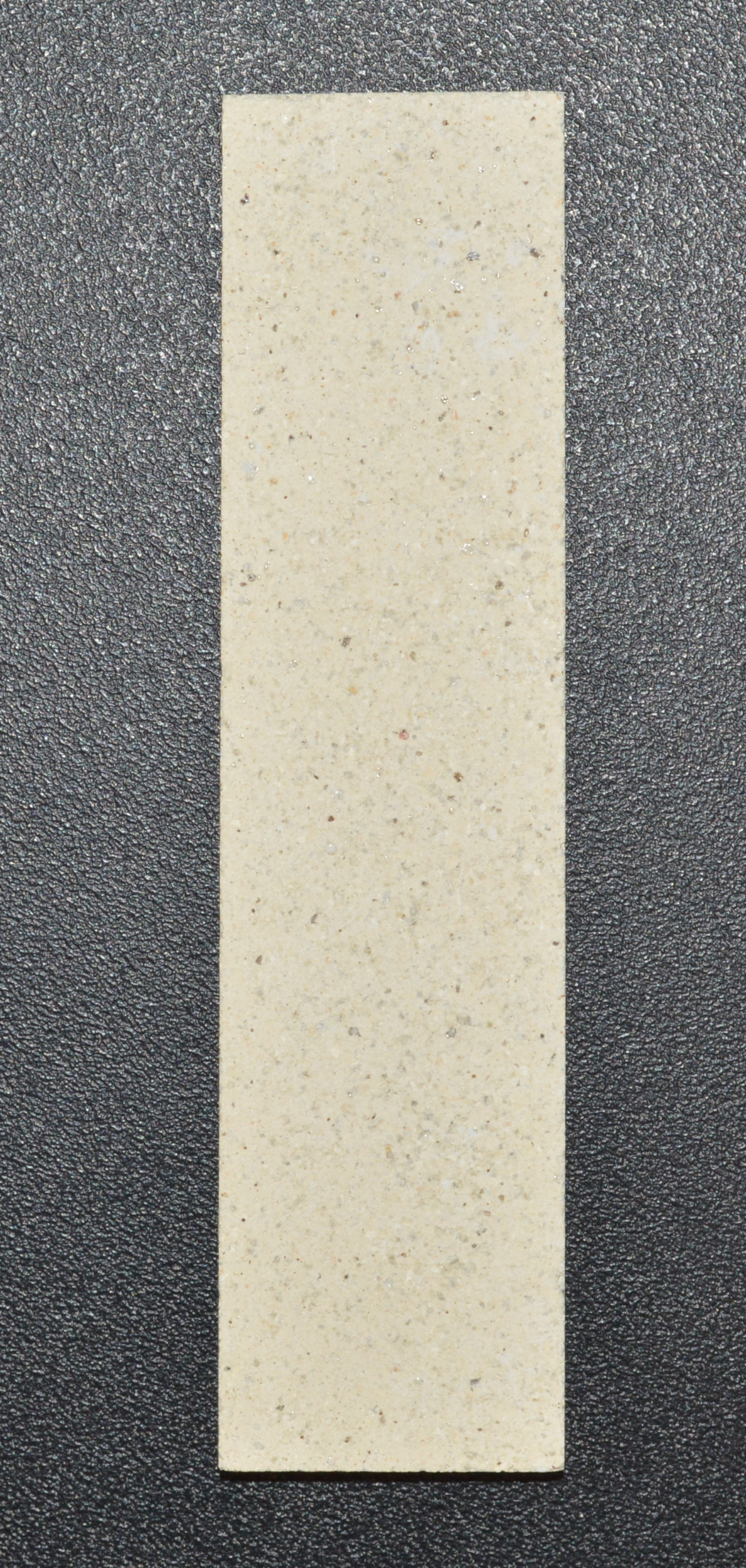 Lotus 4310 Bodenstein links